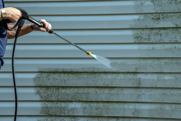 Best Gutter Cleaning  in Brown Deer, WI